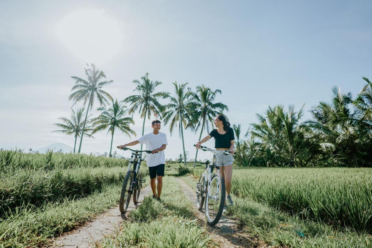 Dukuh Sebatu Villa Ubud 德格拉朗 外观 照片